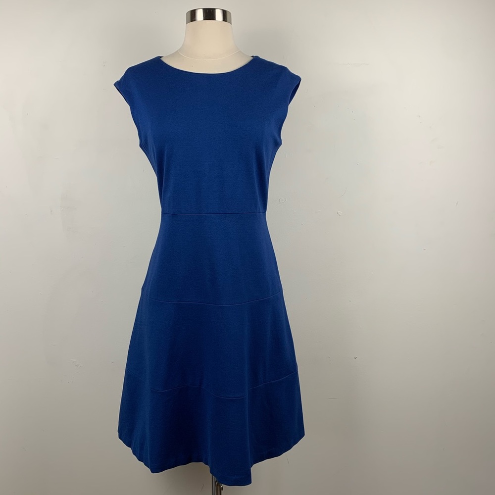 Anne Klein Blue Sleeveless Casual Work Dress
